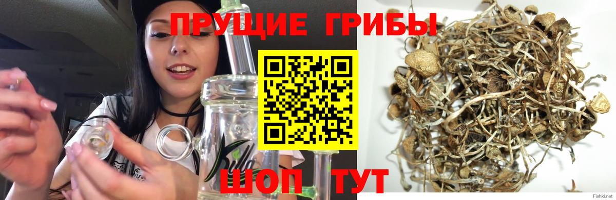 Псилоцибиновые грибы Magic Shrooms Малгобек